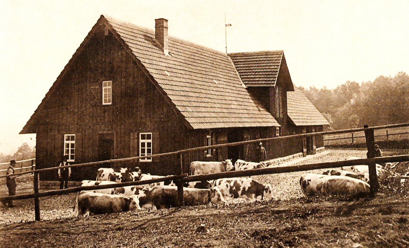 1889. Jungviehweide Waldenbuch, Sommerstall mit Wohngebäude