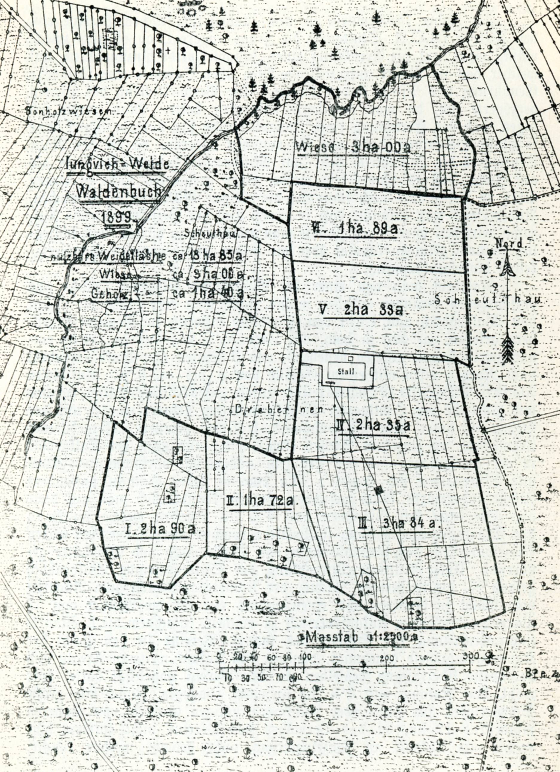 1889. Plan der Jungviehweide Waldenbuch